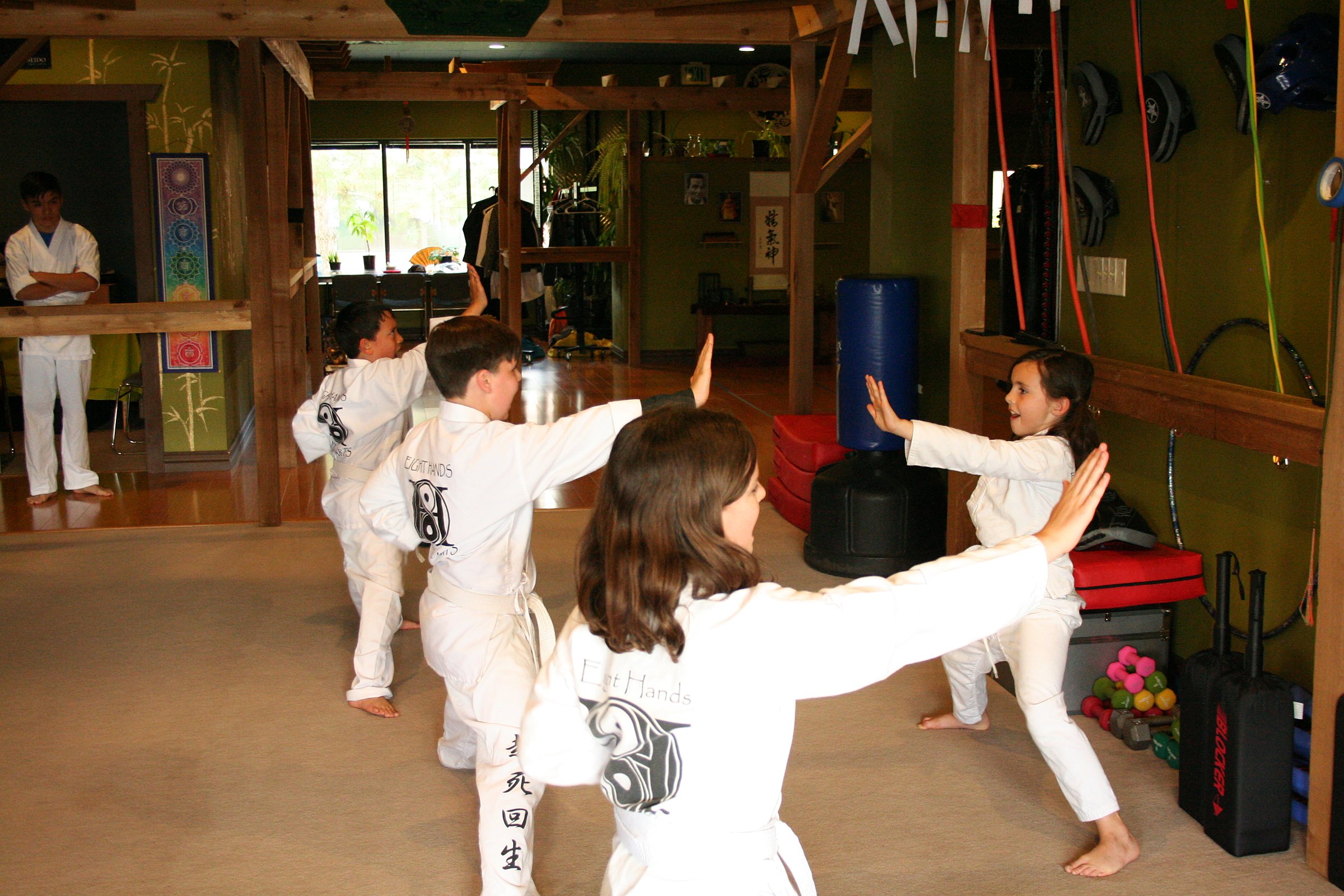 Eight Hands Martial Arts Academy